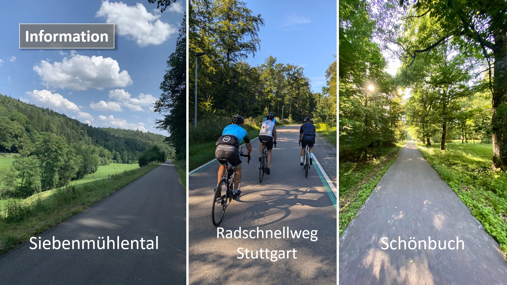 Erlebe schöne Radwege durch den Wald bei unserer Juni-Tour